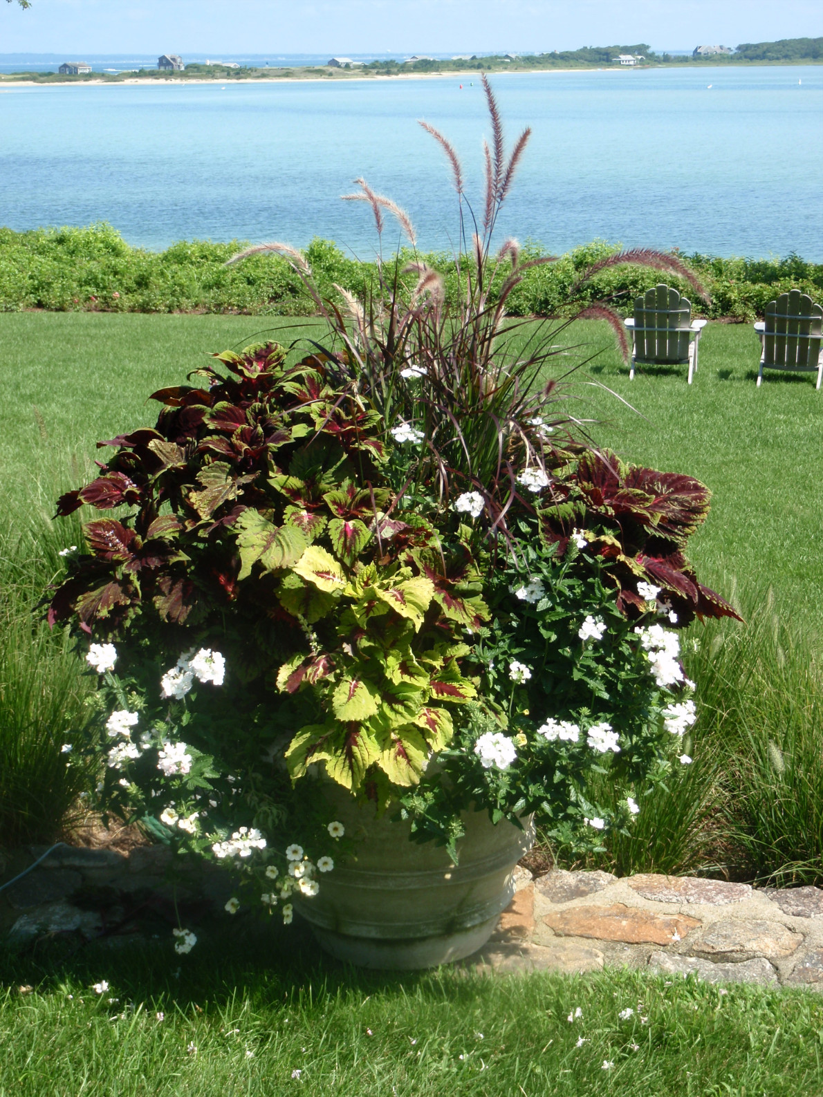 plant containers marthas vineyard