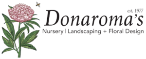 Donaroma's Martha's Vineyard Logo